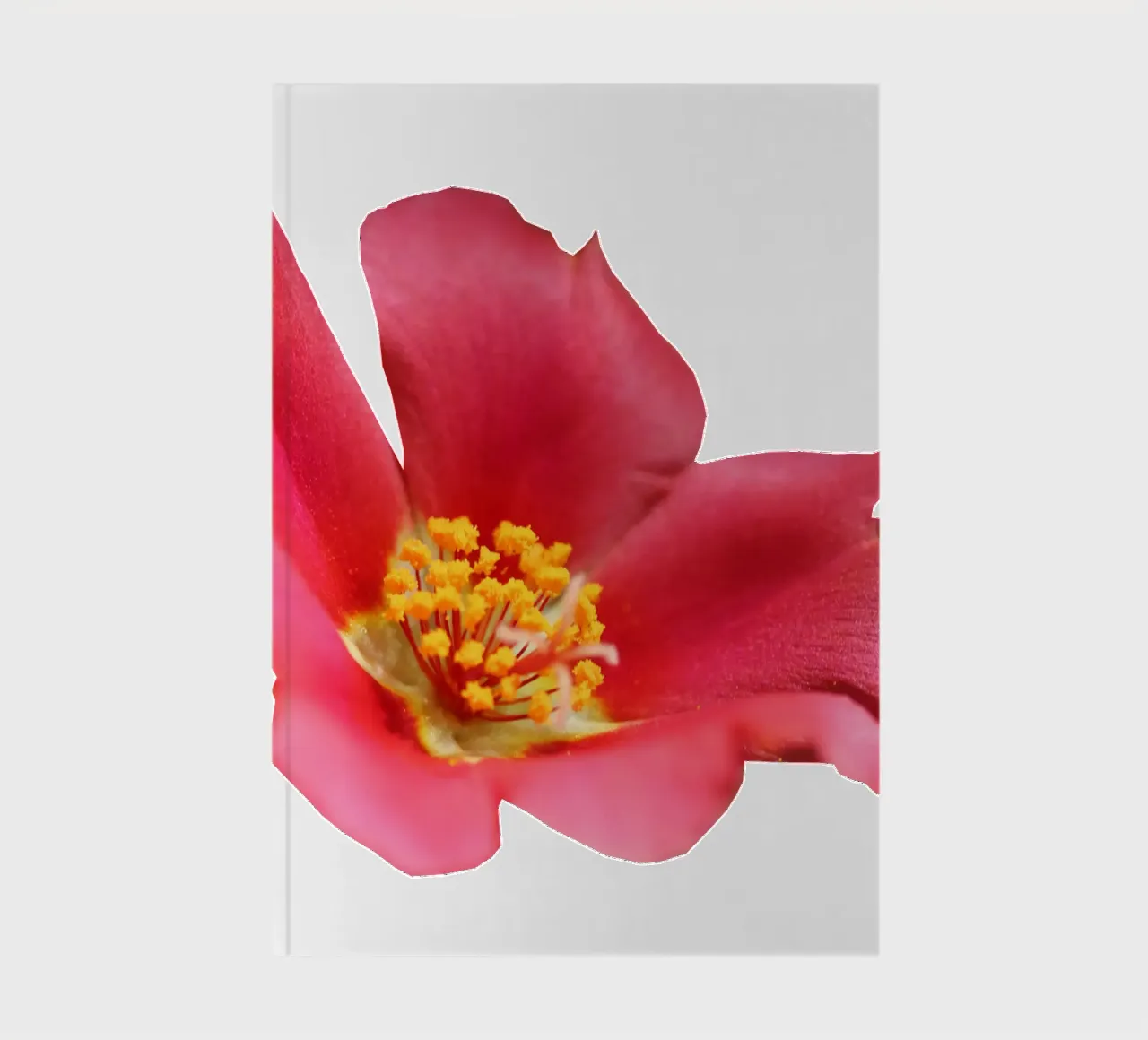 Macro Flower notebook by Bold Blooms