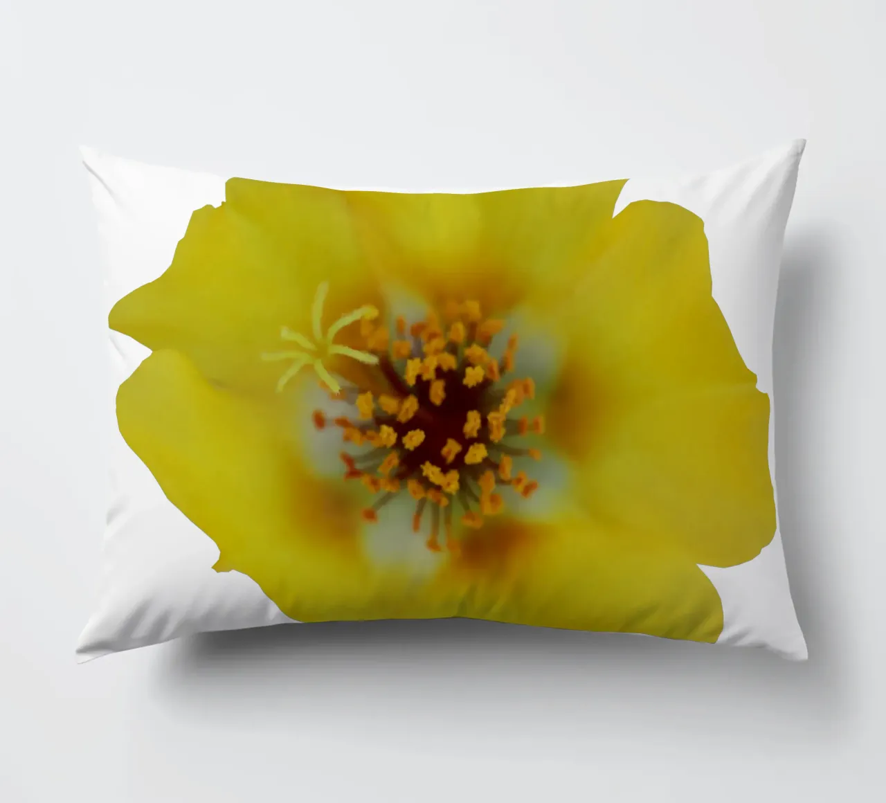 Fiore macro cuscino da Bold Blooms
