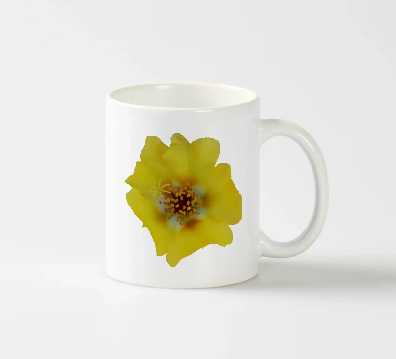 Fiore macro tazza in ceramica da Bold Blooms