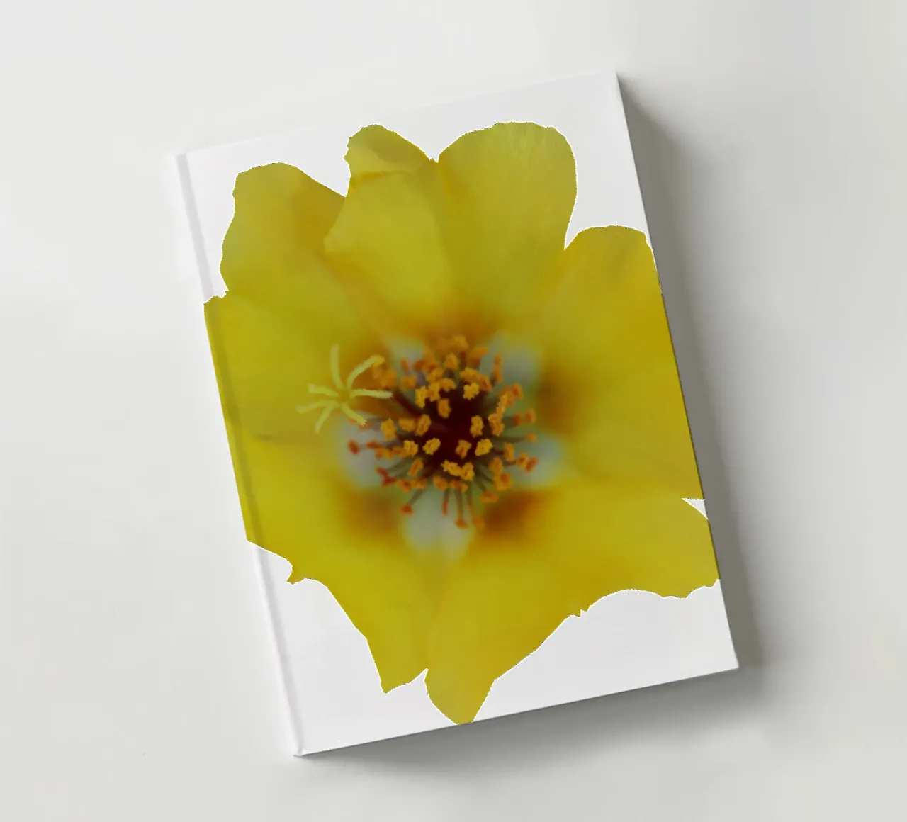 Macro Flower notebook by Bold Blooms
