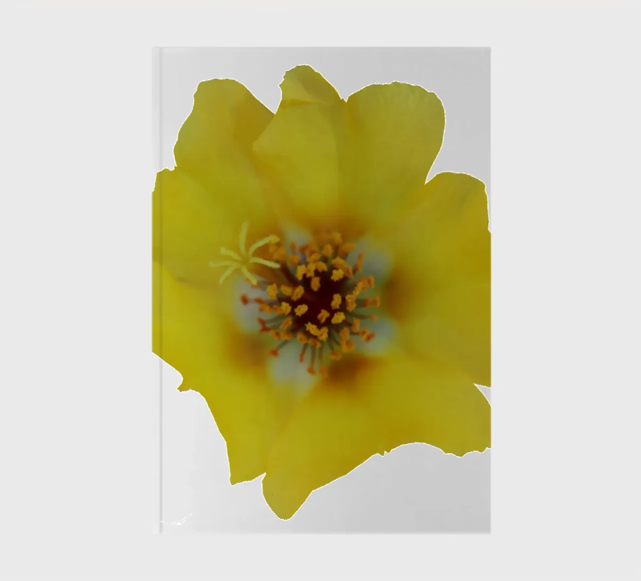 Macro Flower notebook by Bold Blooms