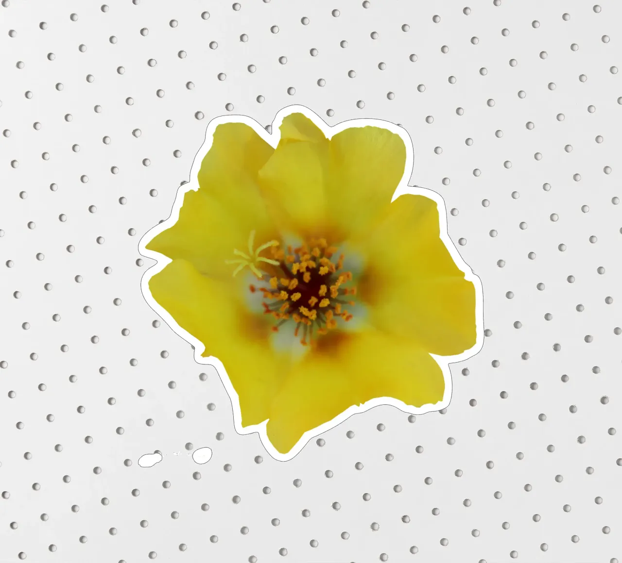 Fiore macro adesivo da Bold Blooms