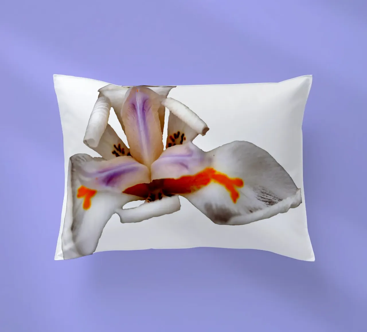 Fiore macro cuscino da Bold Blooms