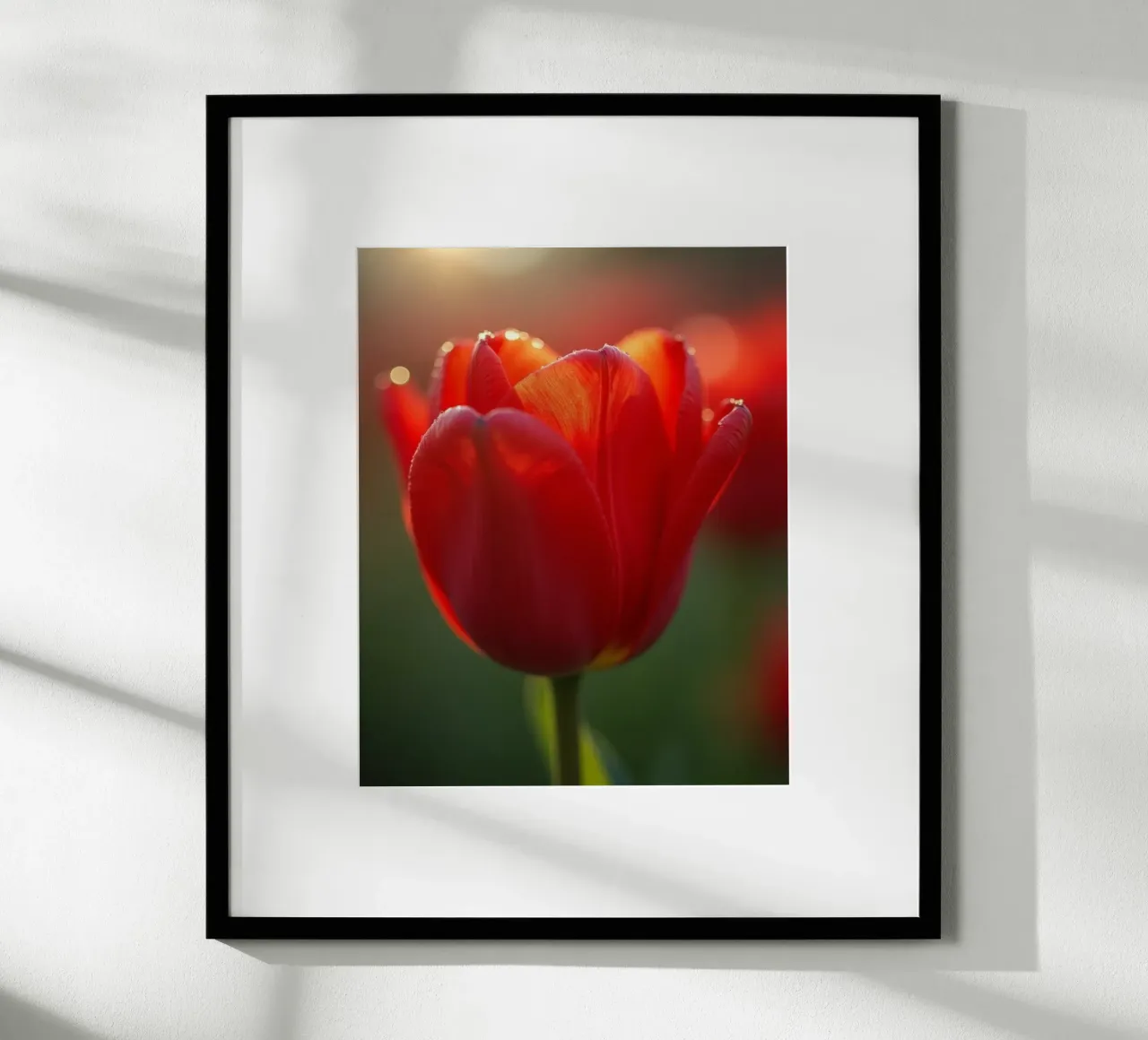 Geheime Botanik Poster mit Kunststoffrahmen von Bold Blooms