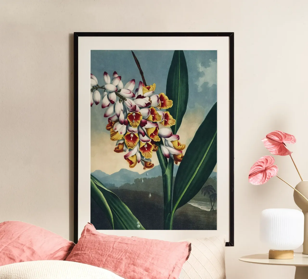 Vintage Thornton 1 Nodding Renealmia poster con telaio in alluminio da Vintage Print Collection