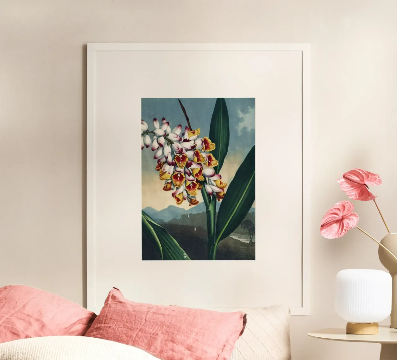 Vintage Thornton 1 Nodding Renealmia poster con telaio in alluminio da Vintage Print Collection