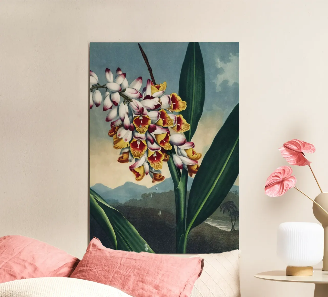 Vintage Thornton 1 Nodding Renealmia poster con telaio in alluminio da Vintage Print Collection
