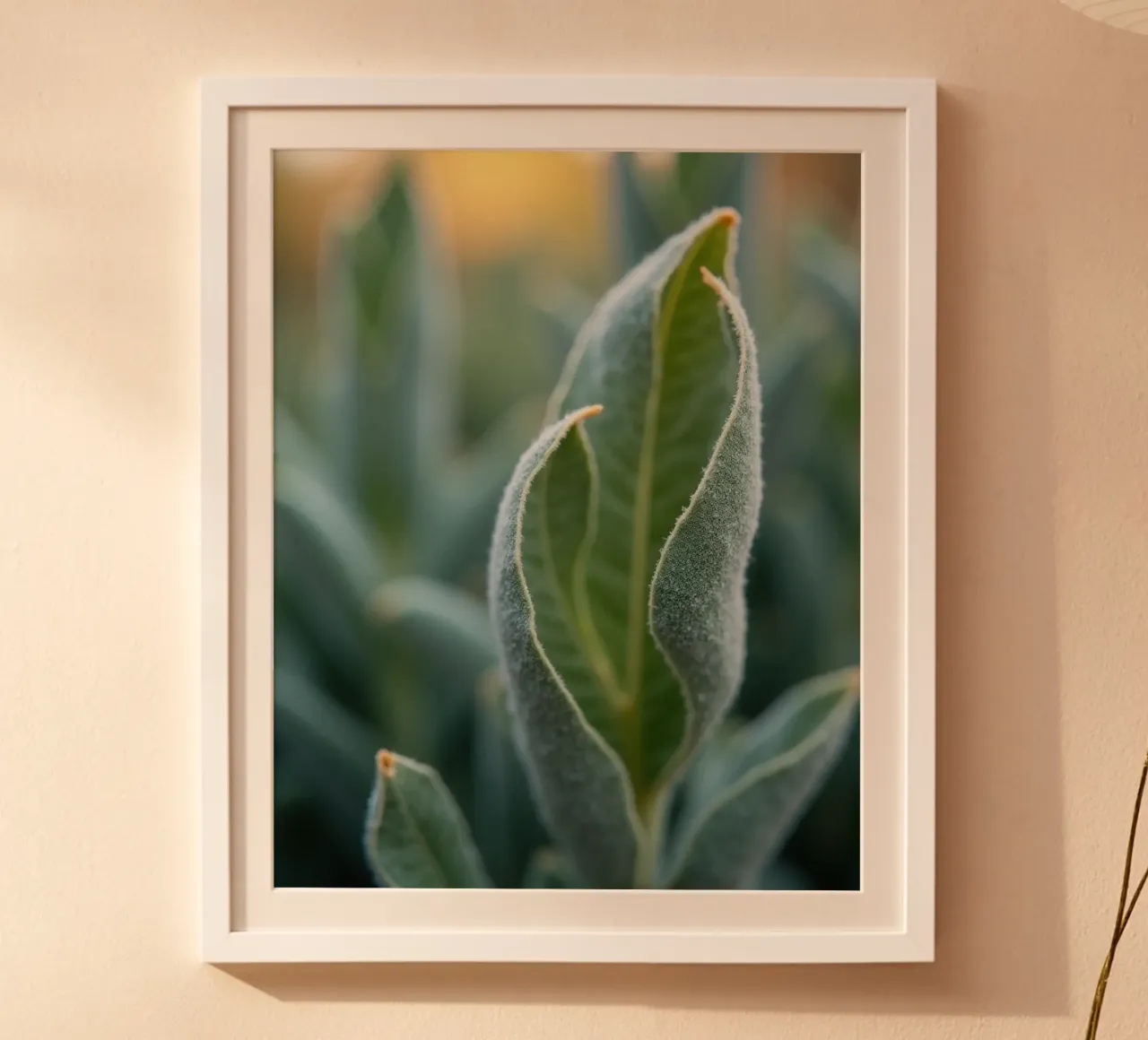 Geheime Botanik Poster von Bold Blooms