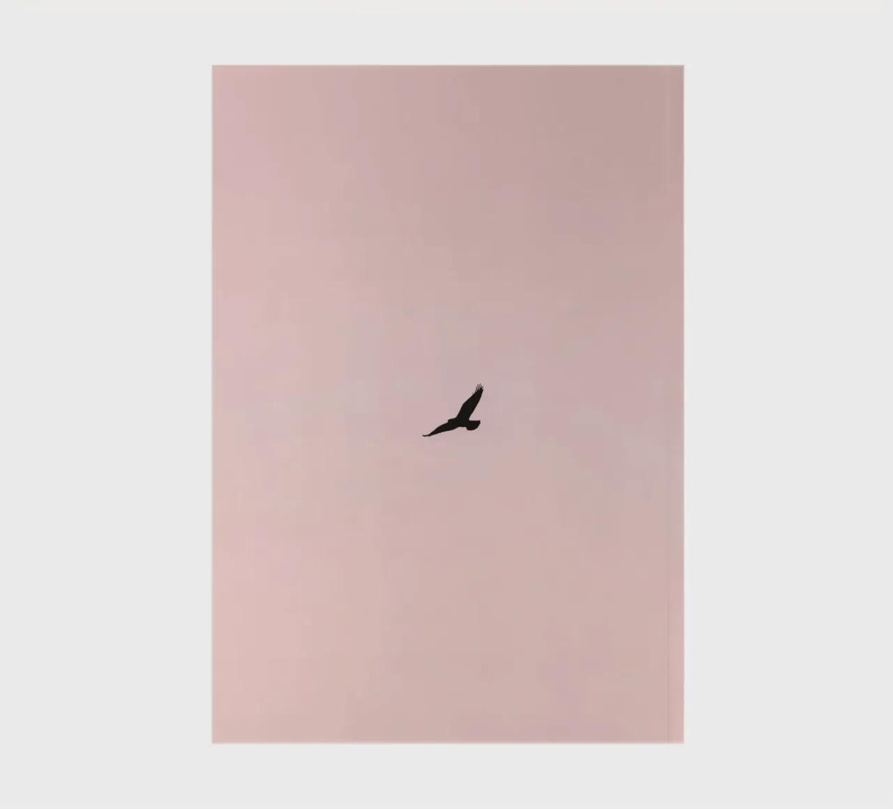 Aigle planant dans un ciel pastel au crépuscule au-dessus d'une terre tranquille carnet de notes de DesignDoodle