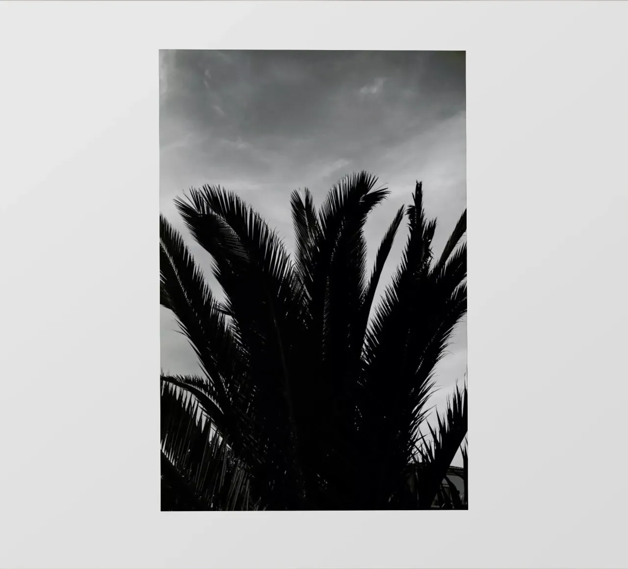 Soft Palms telo in pvc da Sebastian Hilgetag