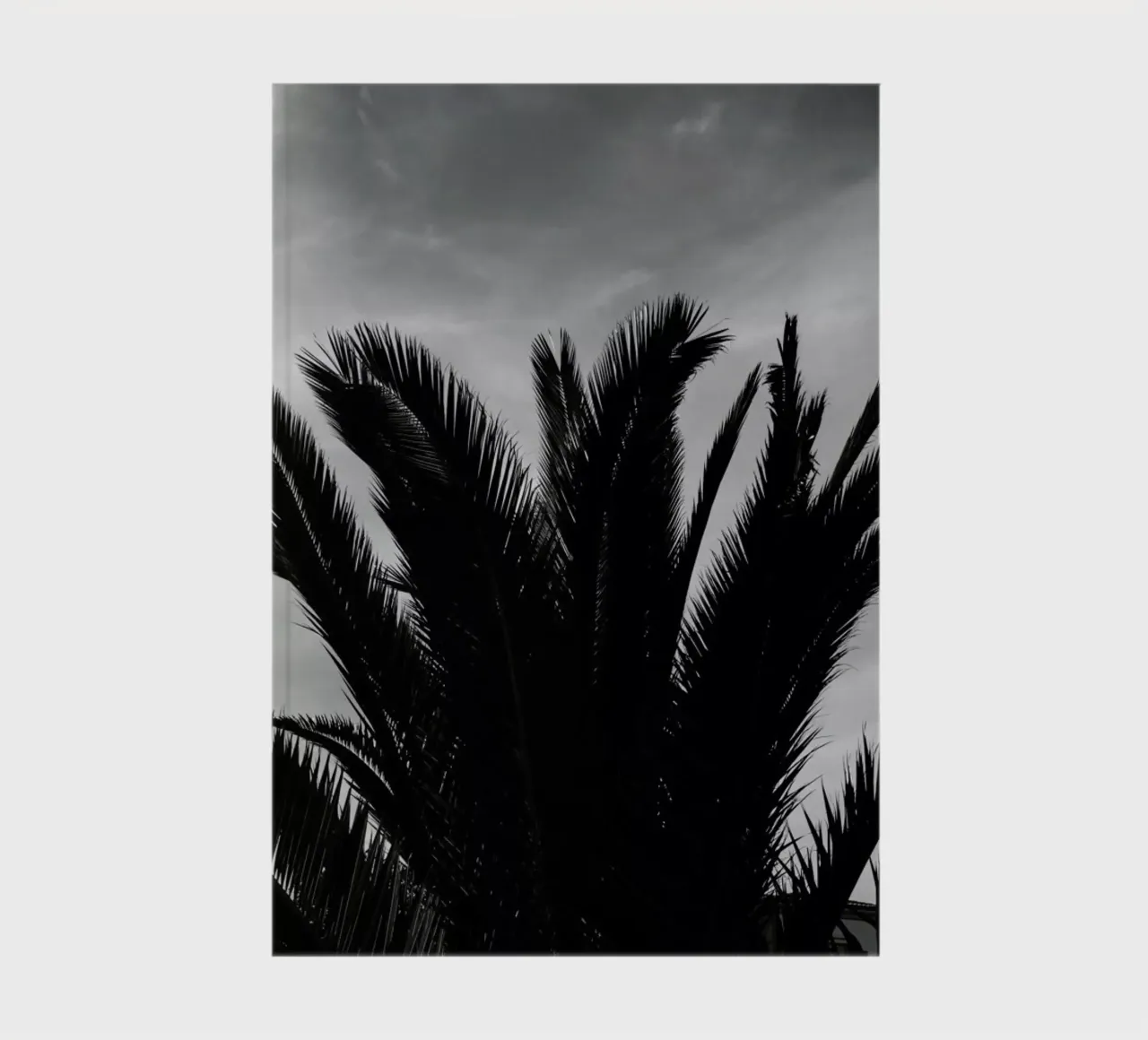 Soft Palms notebook by Sebastian Hilgetag