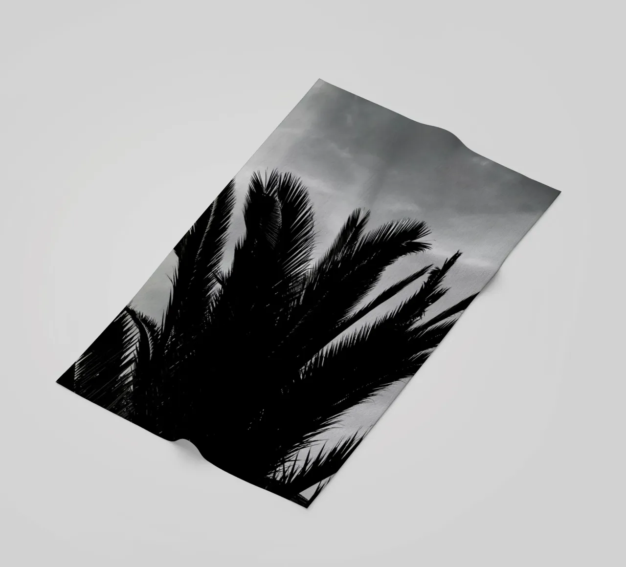 Soft Palms telo mare da Sebastian Hilgetag