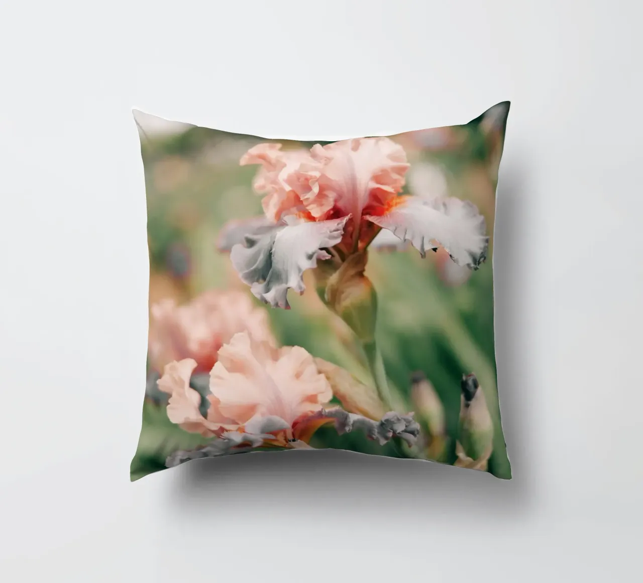 fiori di iris cuscino da Earthly Visions