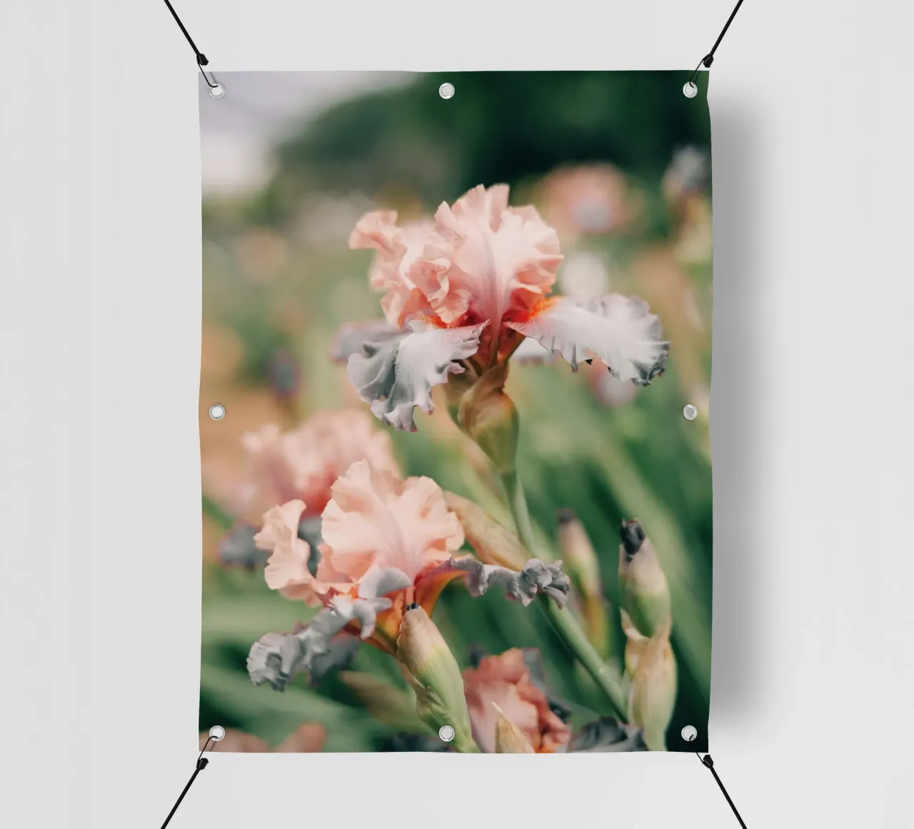 fiori di iris telo in pvc da Earthly Visions