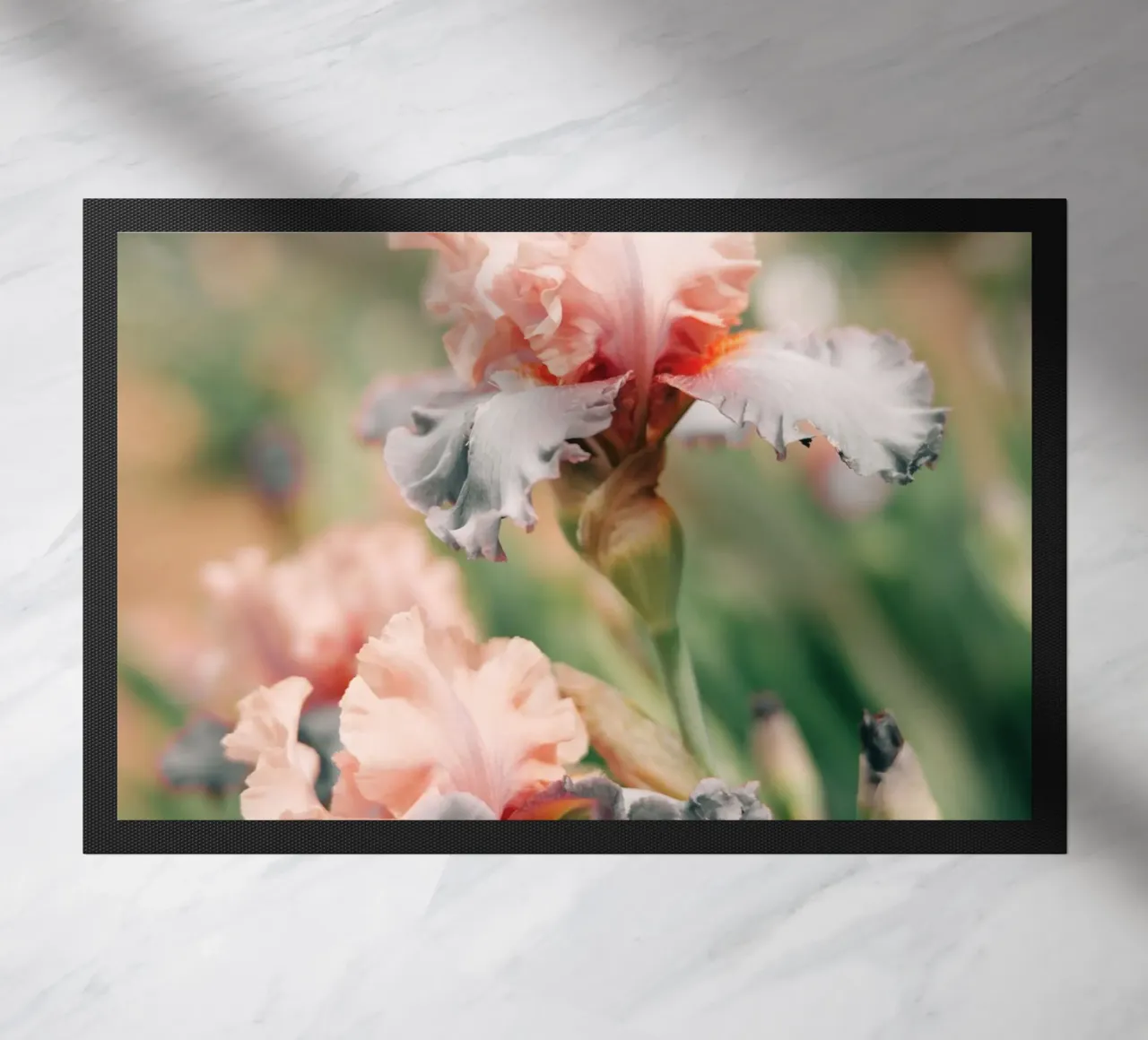 iris flowers zerbino da Earthly Visions