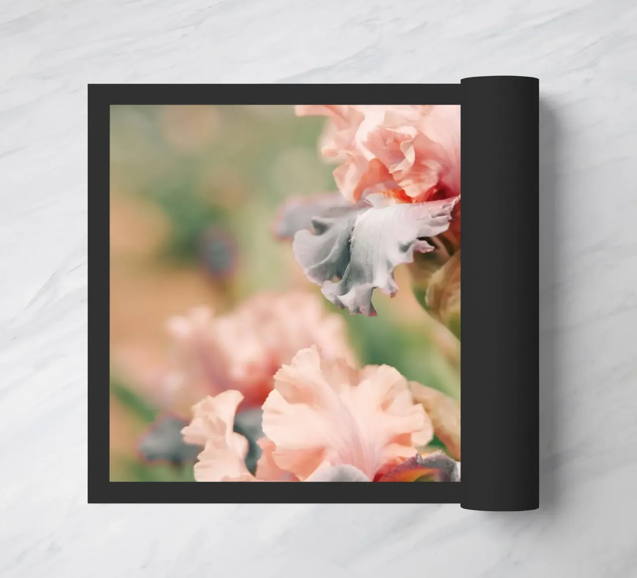 iris flowers zerbino da Earthly Visions