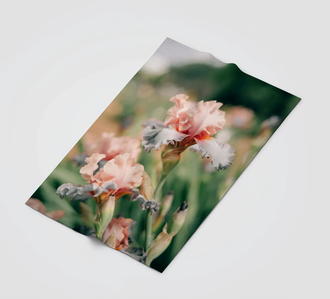 iris flowers fleece blanket by Earthly Visions