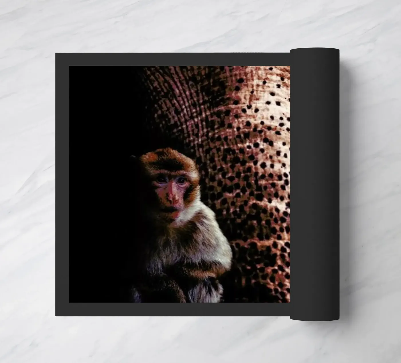 Elephant 3 doormat by Wouter Rikken