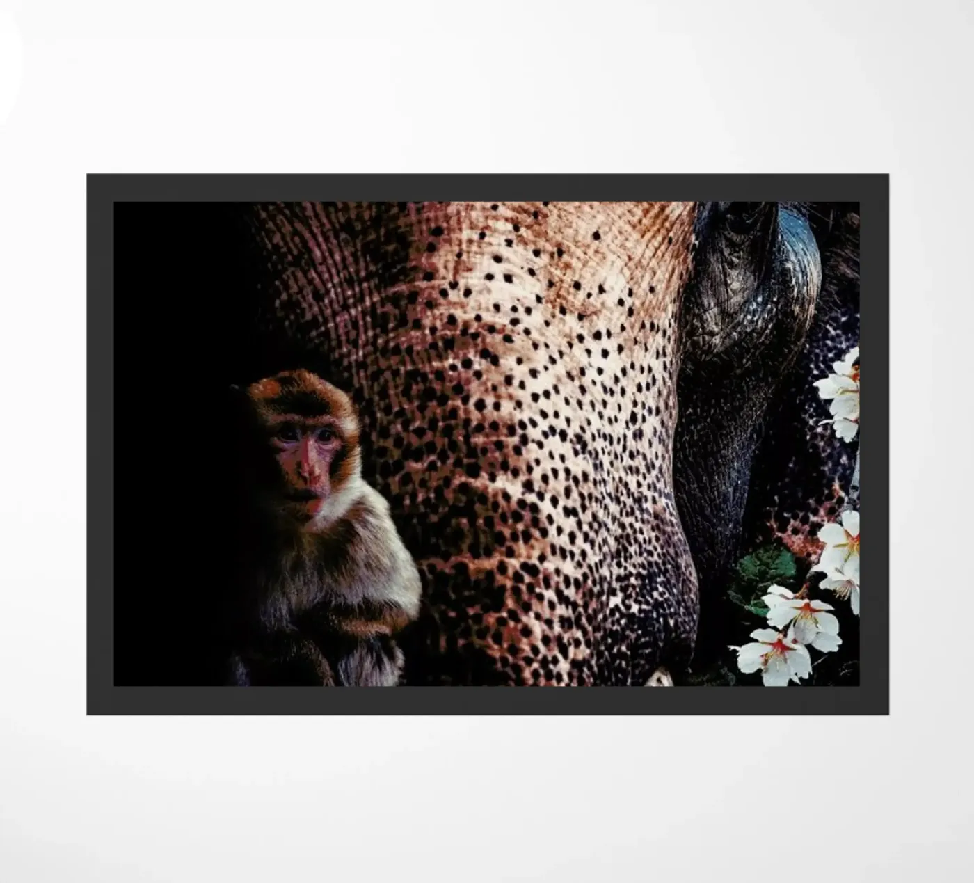 Elephant 3 doormat by Wouter Rikken