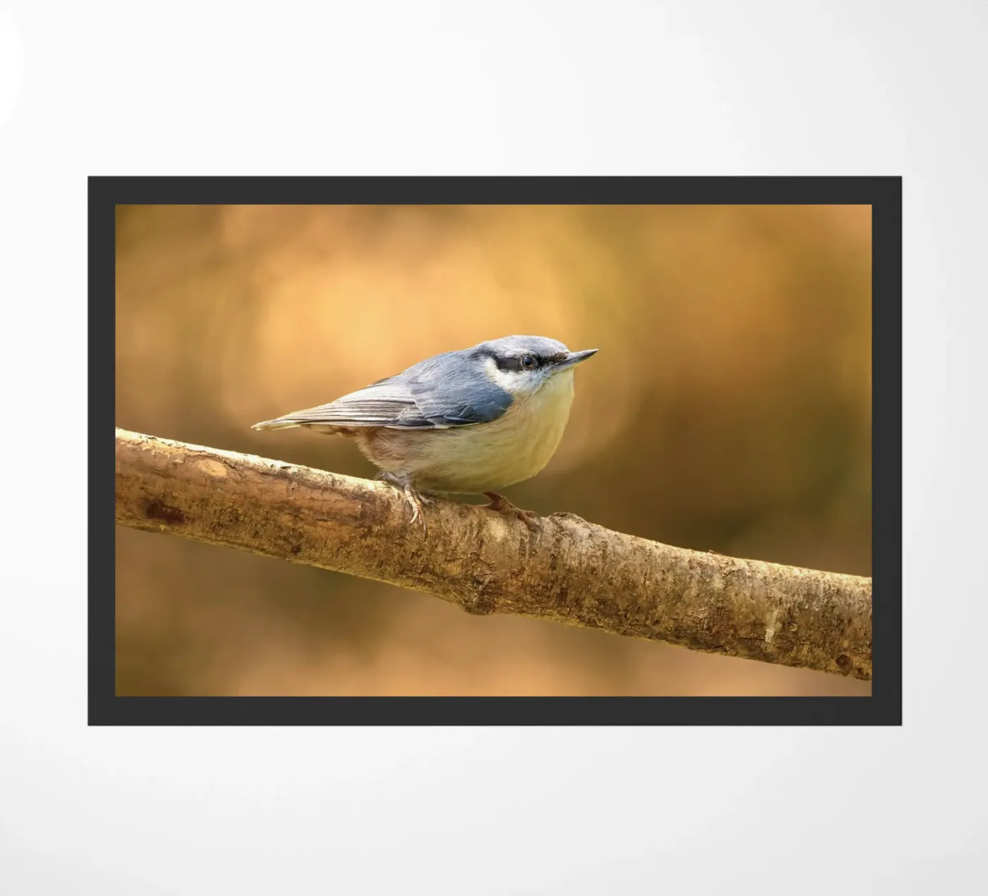 ramo uccelli zerbino da Earthly Visions