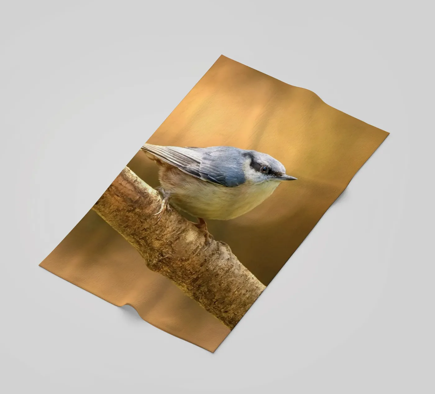 ramo uccelli telo mare da Earthly Visions