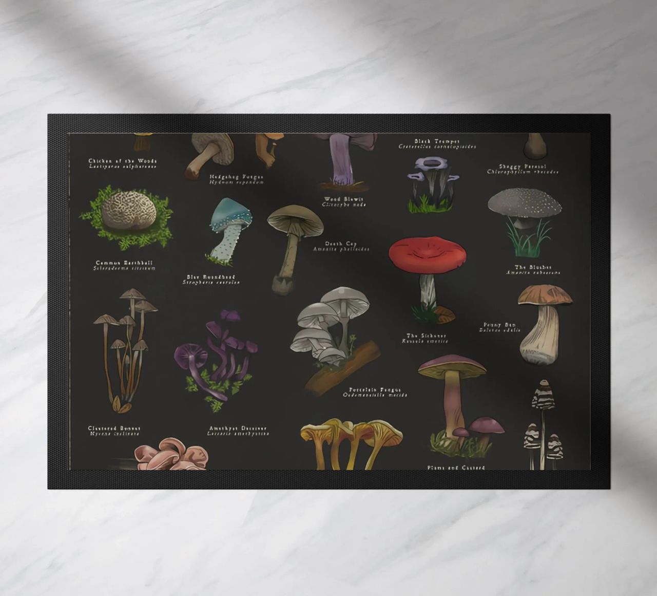 Funghi zerbino da Danielle Shop