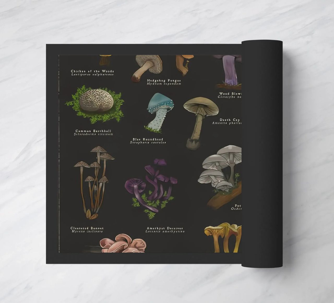 Funghi zerbino da Danielle Shop