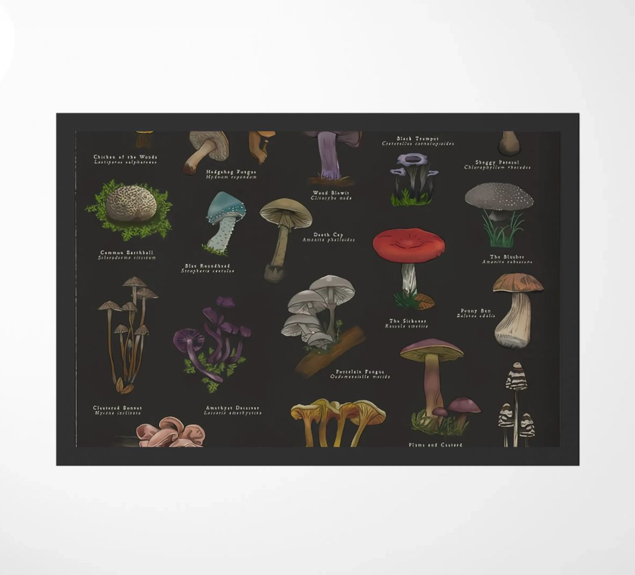 Funghi zerbino da Danielle Shop