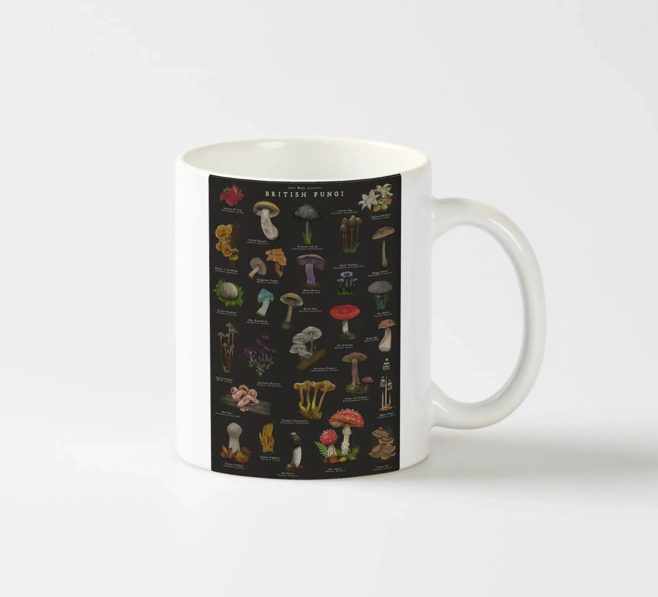 Funghi tazza in ceramica da Danielle Shop