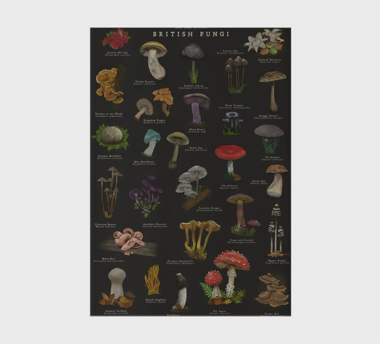 Champignons carnet de notes de Danielle Shop