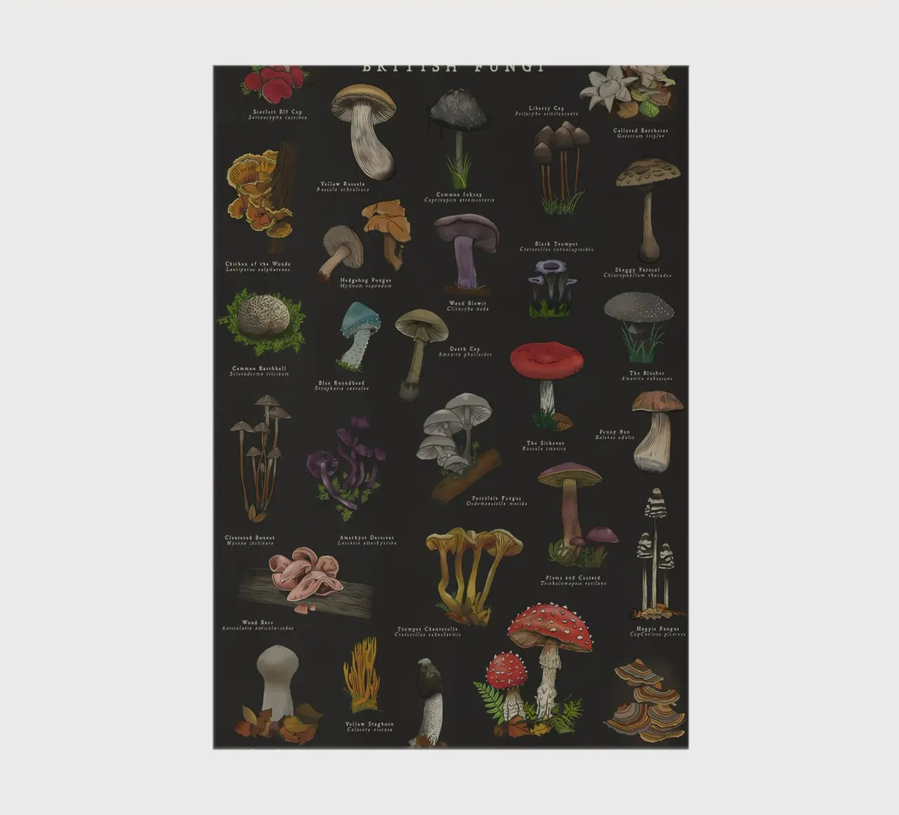 Champignons carnet de notes de Danielle Shop