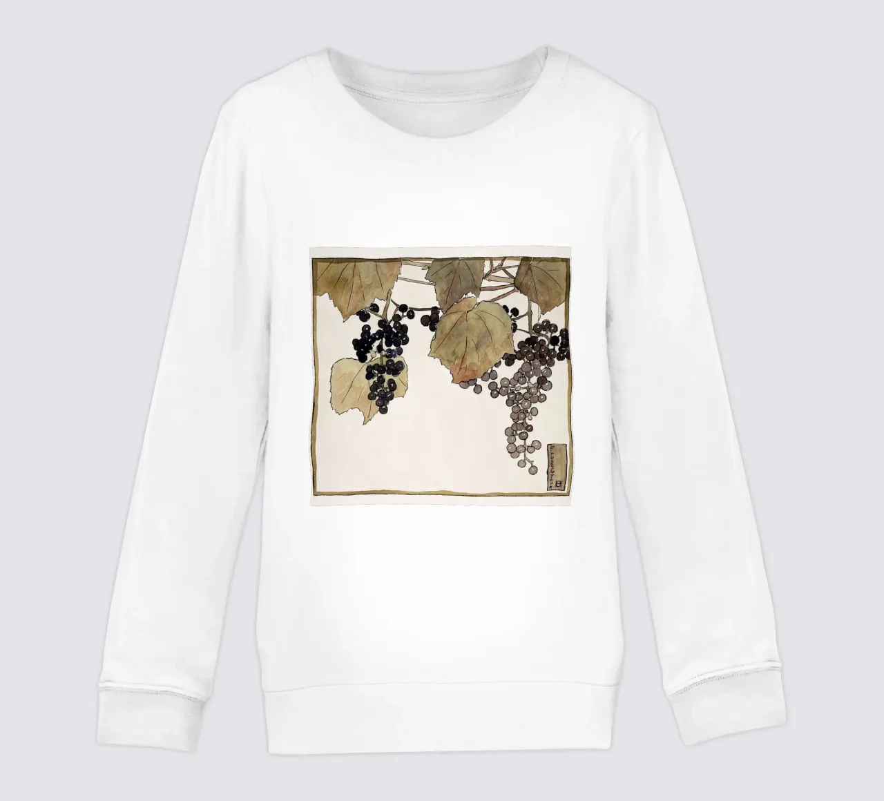 Hannah Overbeck Frost Grape - Arts & Crafts Botanical (1915 sudadera para niño de ClubArt