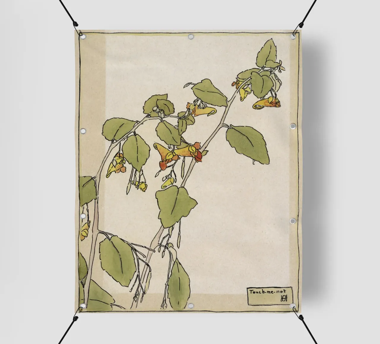 Hannah Overbeck: Touch-Me-Not - Arti e Mestieri Botanici (191 telo in pvc da ClubArt