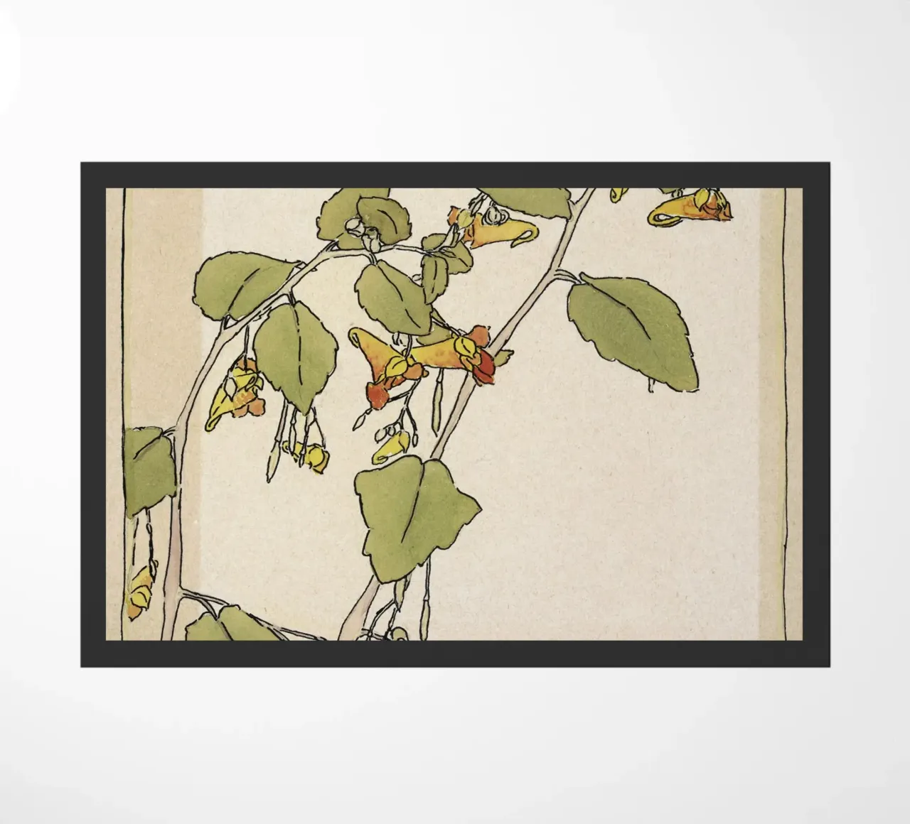 Hannah Overbeck: Touch-Me-Not - Arti e Mestieri Botanici (191 zerbino da ClubArt