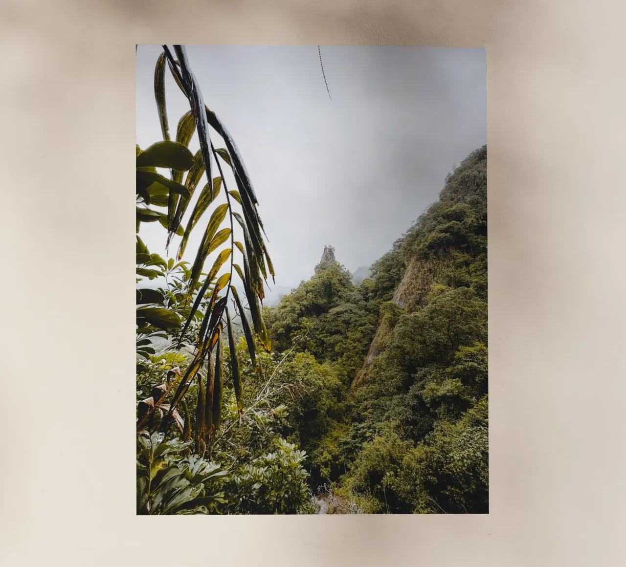 It's A Jungle Out There pellicola backlit da Thilo Grøsch