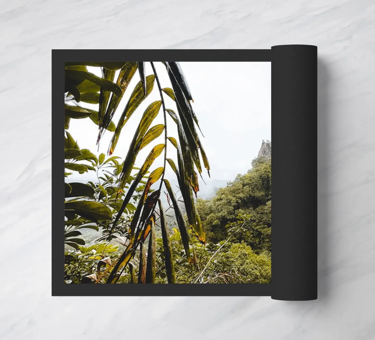 It's A Jungle Out There zerbino da Thilo Grøsch
