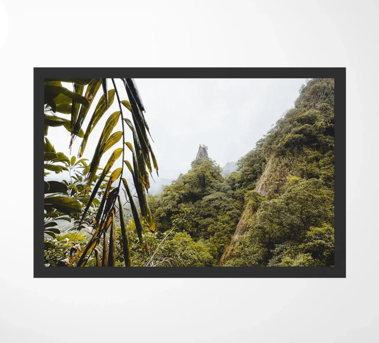 It's A Jungle Out There zerbino da Thilo Grøsch