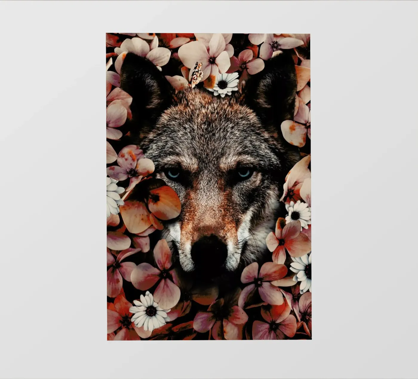 Wolf pellicola backlit da Wouter Rikken