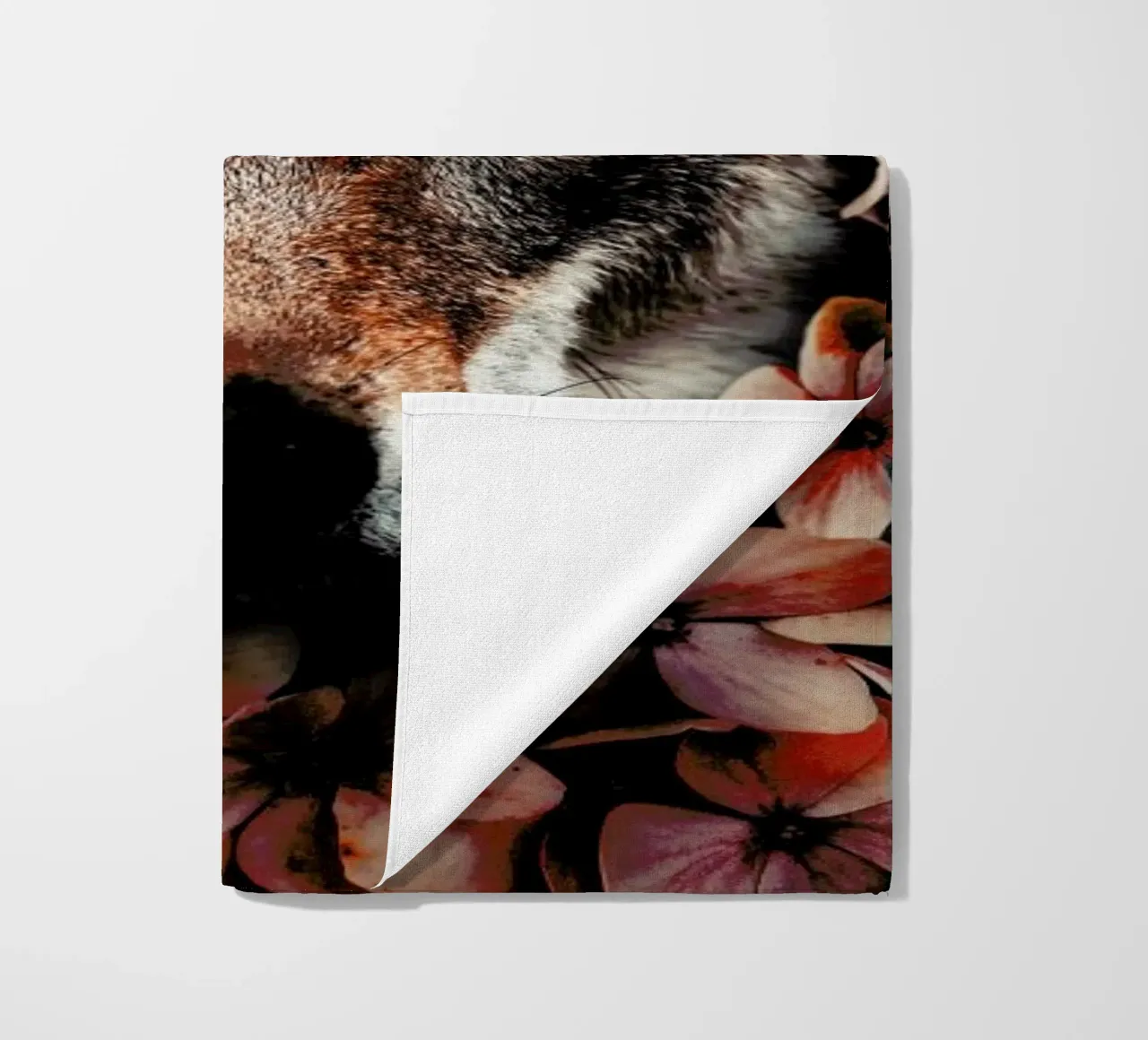 Wolf telo mare da Wouter Rikken