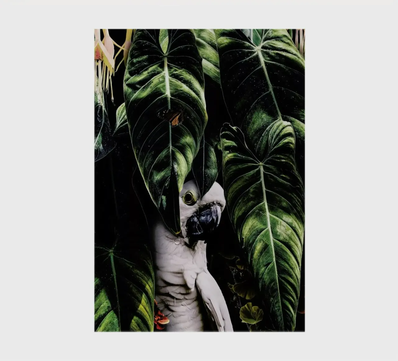 Jungle Scene diario da Wouter Rikken