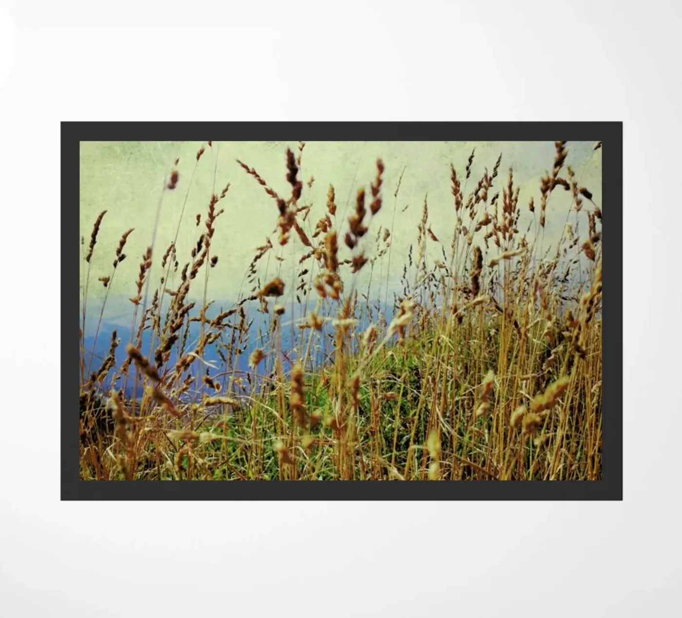 Mountain Grass zerbino da Angelo Cerantola