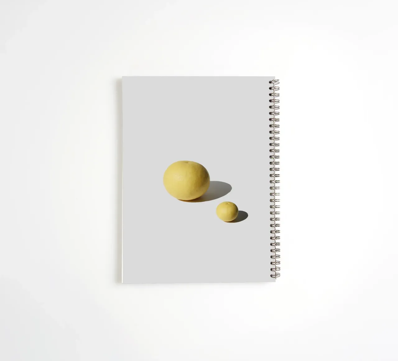 Grapefruit spiral notebook by George Griefy
