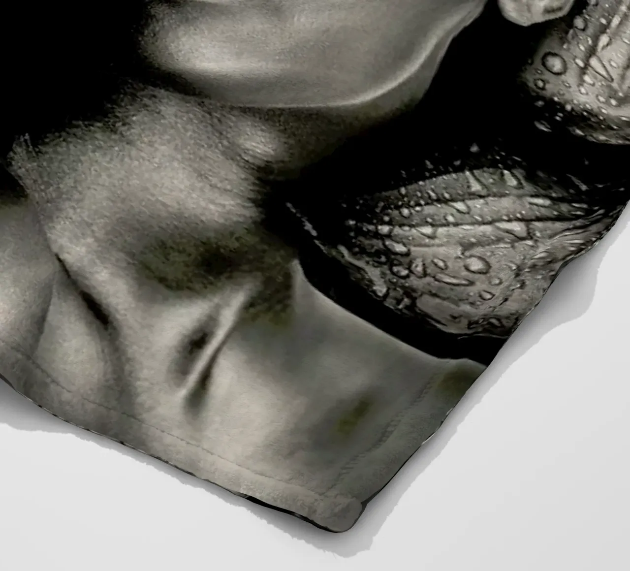 Woman And Lion coperta in pile da Wouter Rikken