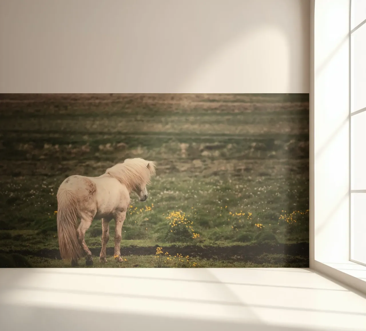 meadow horse in field photo wallpaper by Horsire