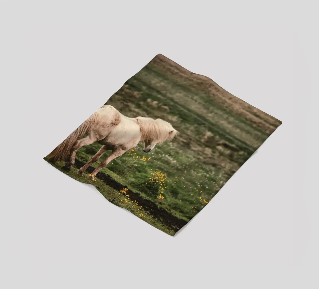 meadow horse in field fleece blanket by Horsire