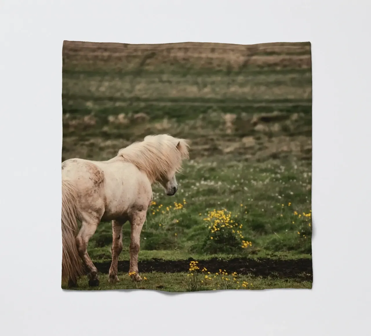 meadow horse in field fleece blanket by Horsire