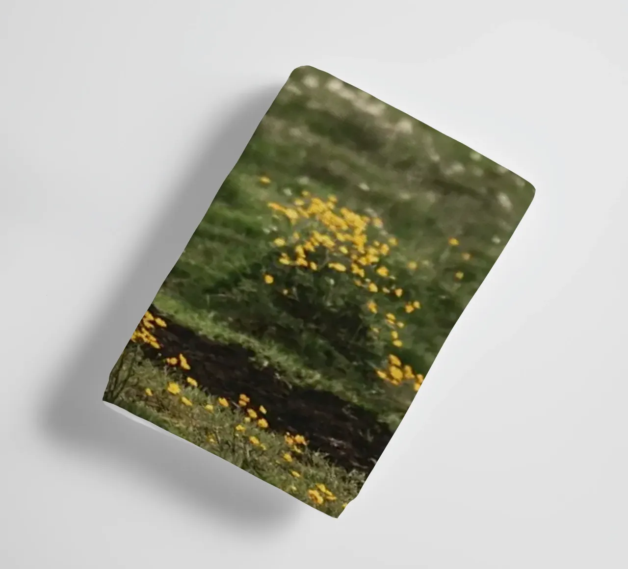 meadow horse in field towel by Horsire