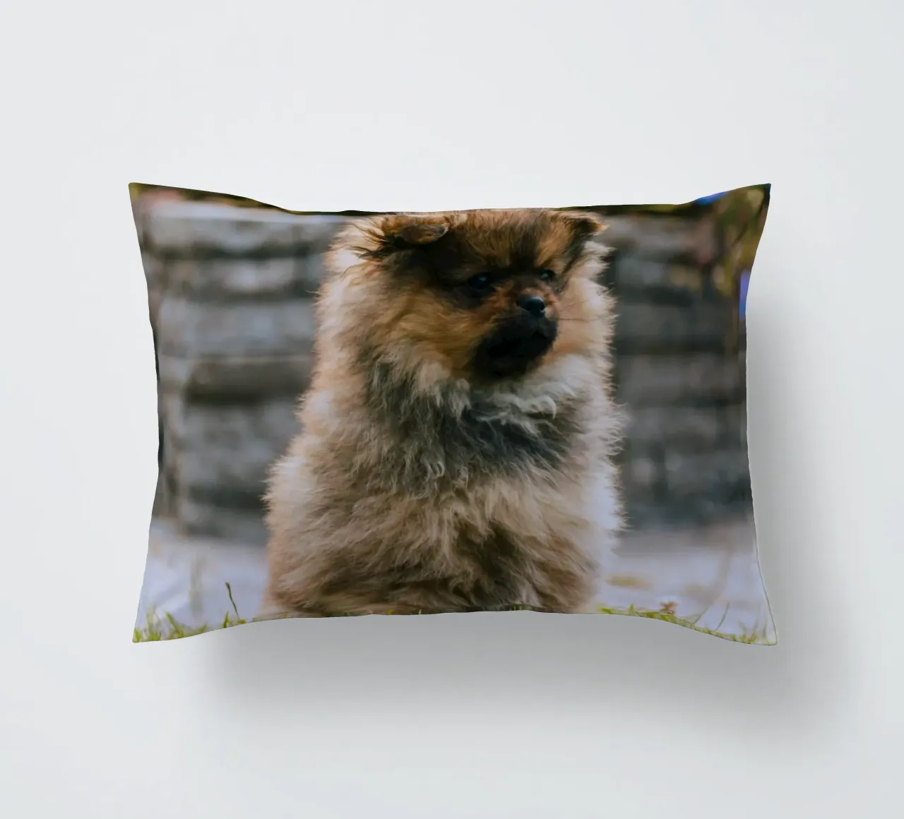 cucciolo sull'erba cuscino da animal story home