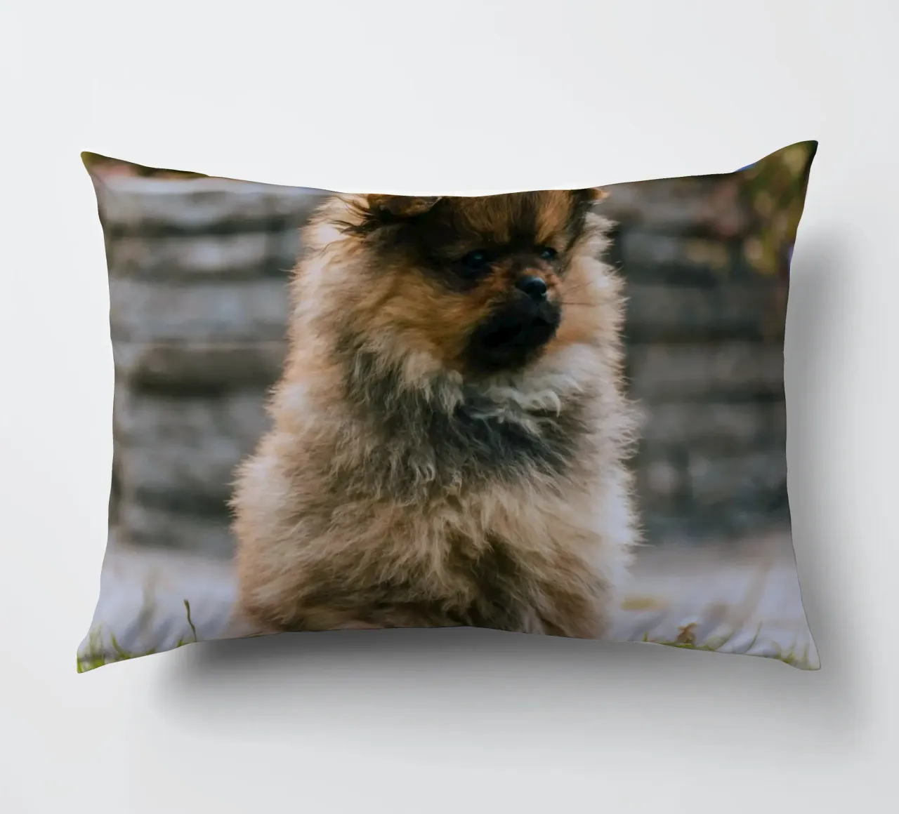 cucciolo sull'erba cuscino da animal story home