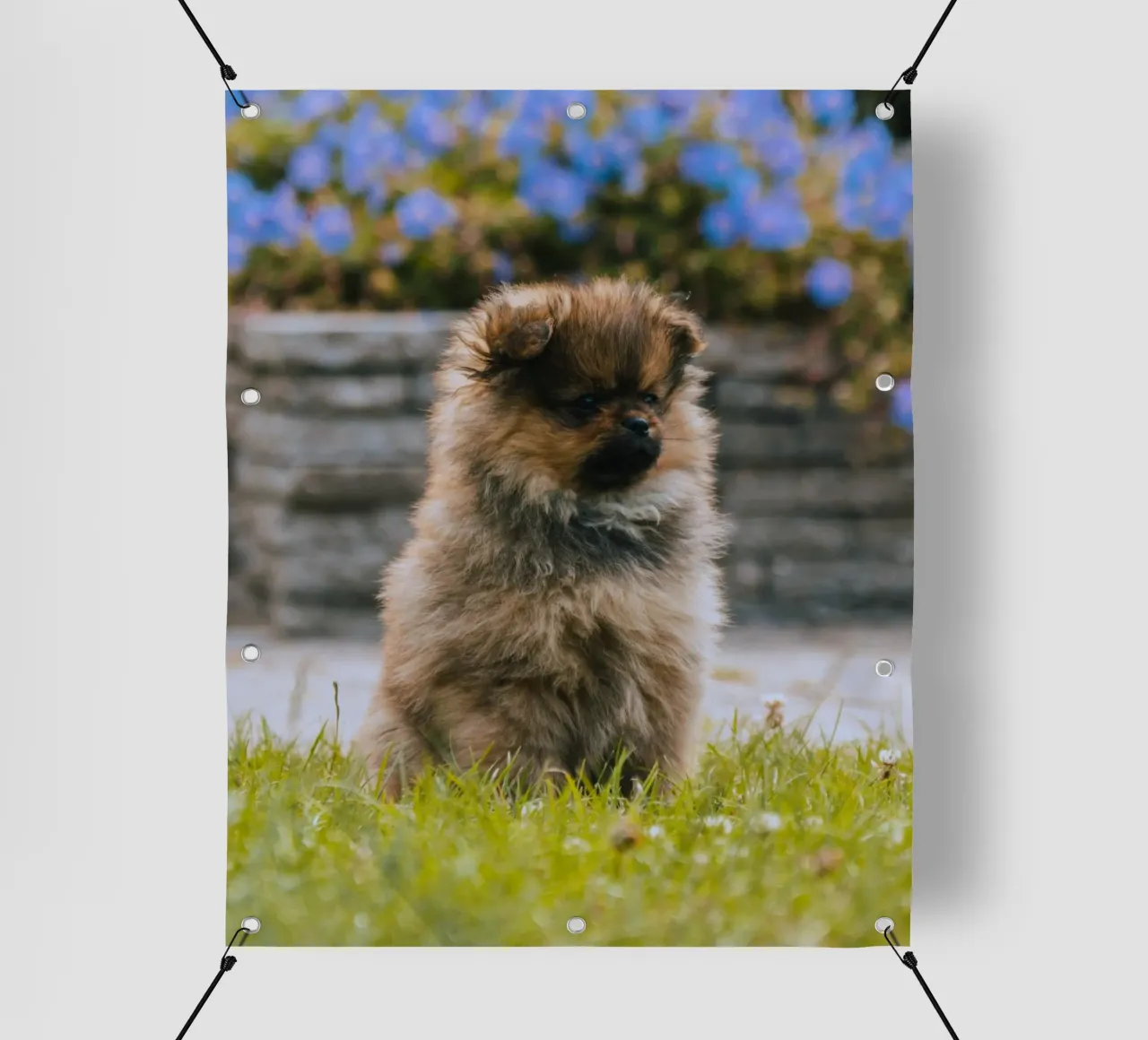 cucciolo sull'erba telo in pvc da animal story home